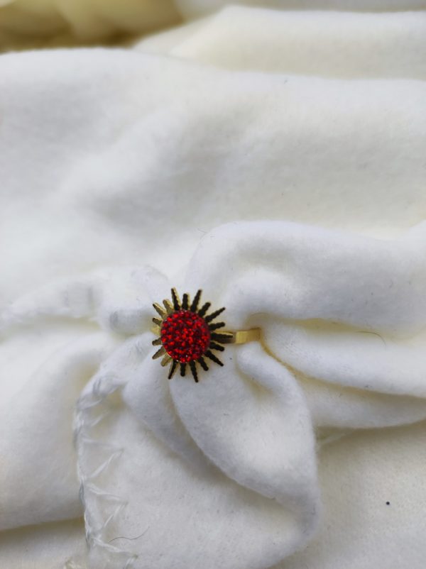 Bague en acier inoxydable avec strass de couleur rouge. Unique en son genre.