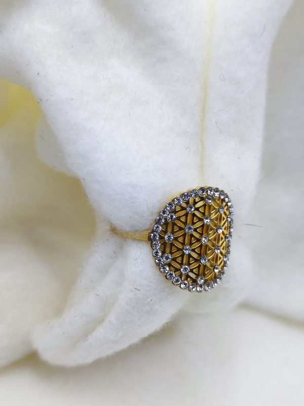 Bague en acier inoxydable et ajustable. Très confortable. Elle vous accompagnera lors de vous journée.