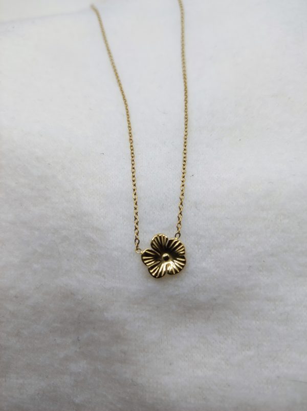 Collier en acier inoxydable doré